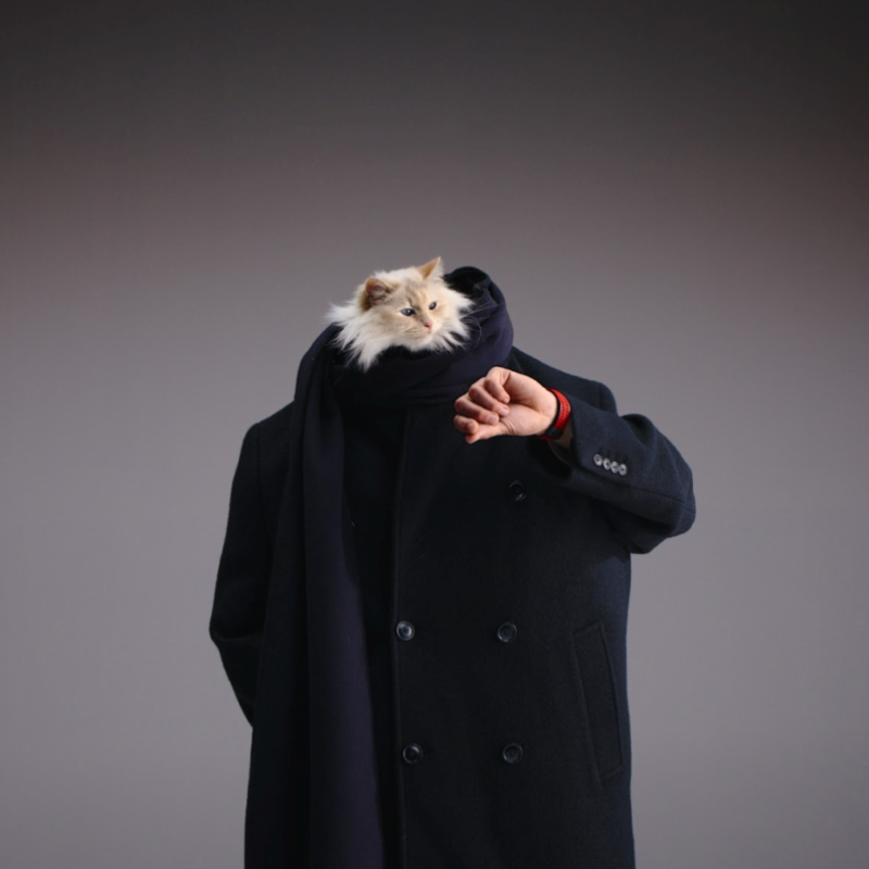choupette3-1024x795